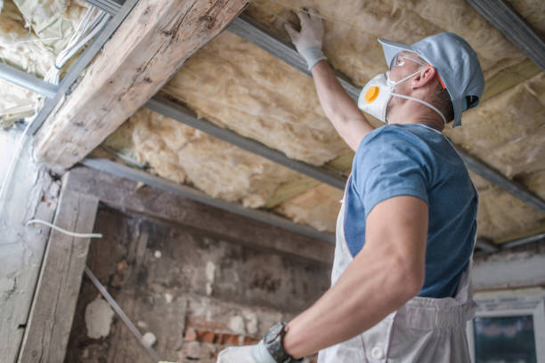 Professional Insulation Contractor in Trotwood, OH