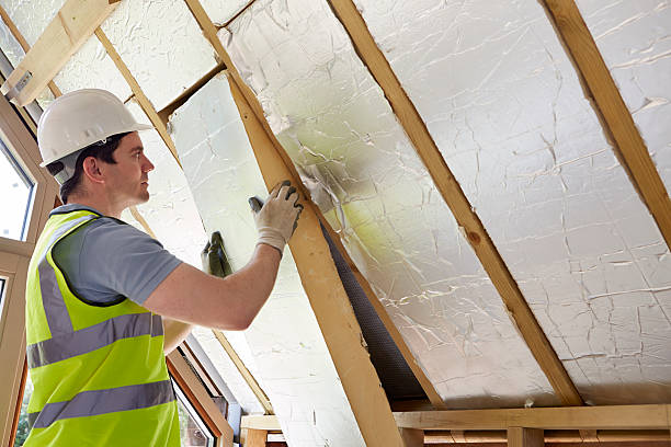 Best Cellulose Insulation in Trotwood, OH