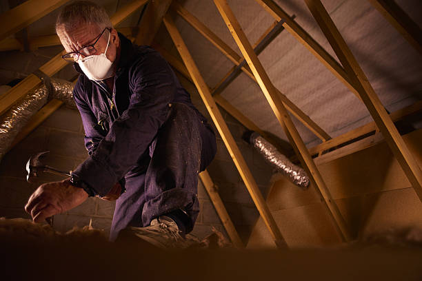 Best DIY Insulation Kits and Guidance in Trotwood, OH